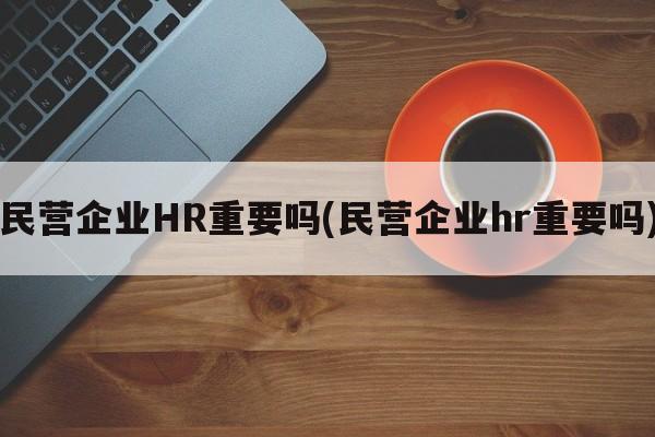 民营企业HR重要吗(民营企业hr重要吗)